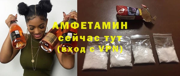 индика Балахна