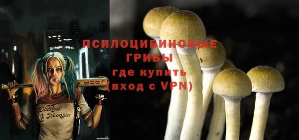 индика Балахна