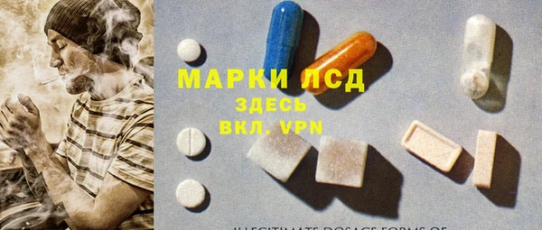 индика Балахна