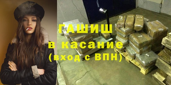 индика Балахна