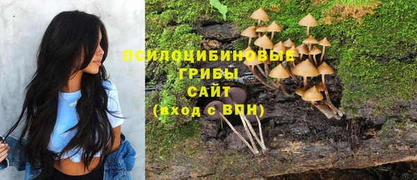 скорость Баксан